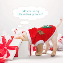 Load image into Gallery viewer, Pups! Reindeer Costume - Pups Closet