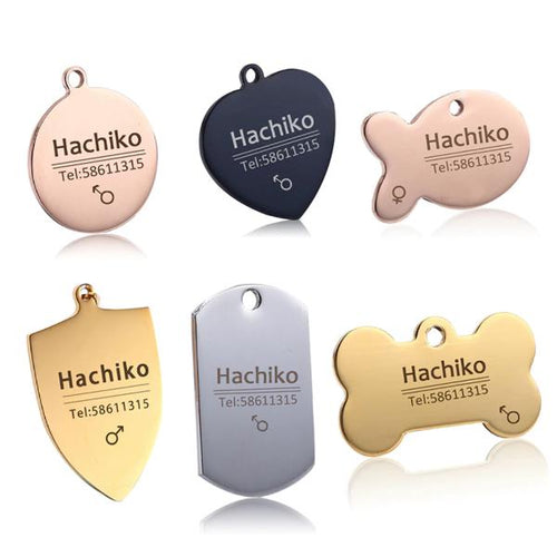 personalized dog collar with name
