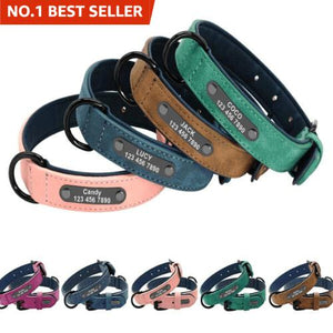 personalized dog collar with name