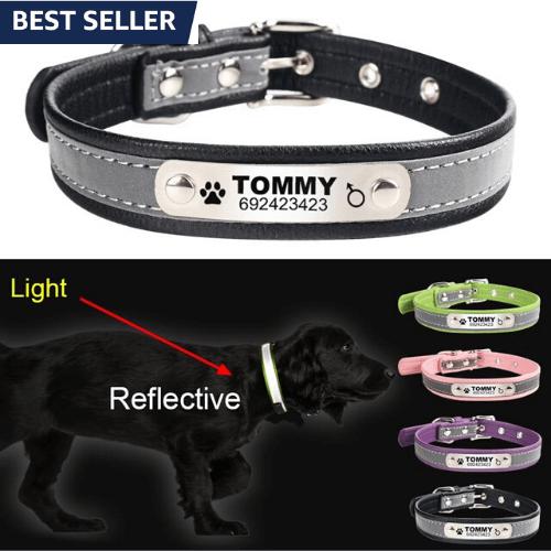 personalized dog collar with name