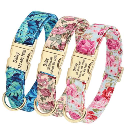 personalized dog collar with name