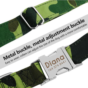personalized dog collar with name