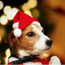 Load image into Gallery viewer, Pups! Xmas Santa Hat - Pups Closet
