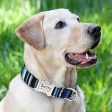 Load image into Gallery viewer, personalized dog collar with name