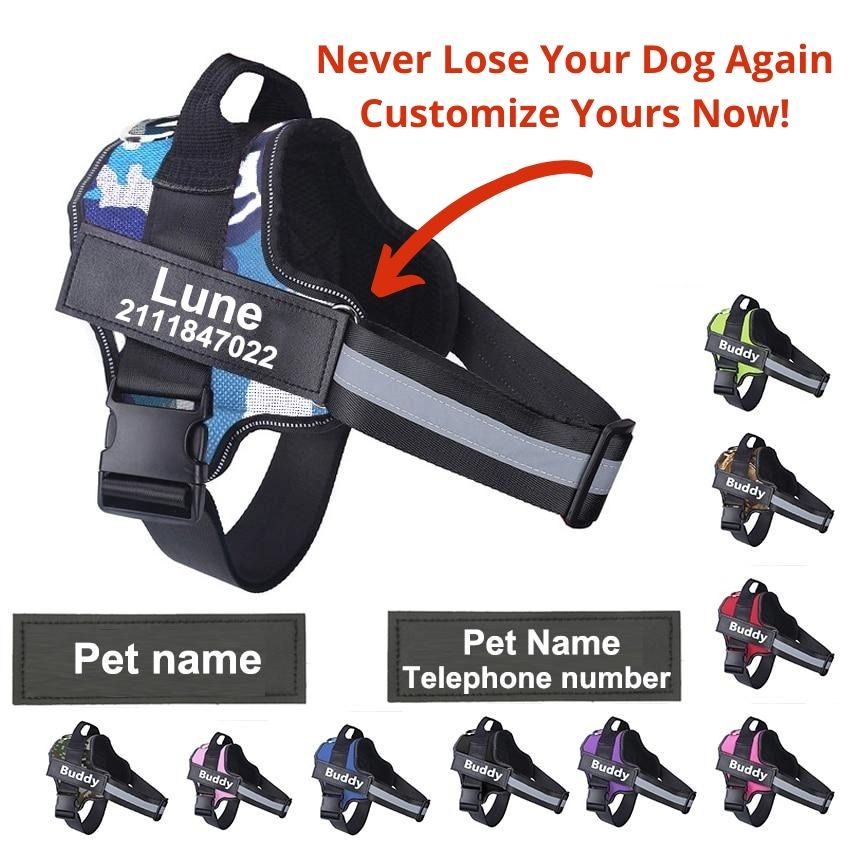 personalized dog harness with name