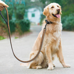 Pups! Premium Leather Leash - 5 colours available