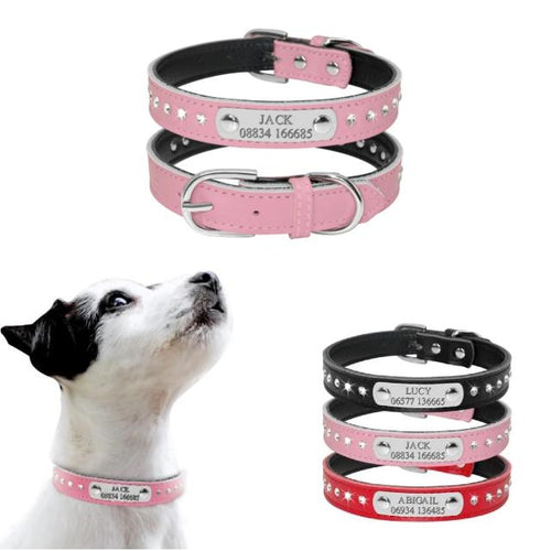 personalized dog collar with name