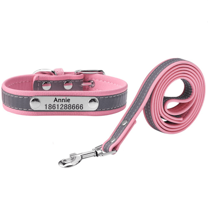 Pups! Reflective leash - 5 colours available