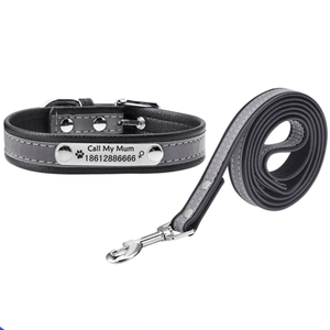 Pups! Reflective leash - 5 colours available