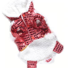 Load image into Gallery viewer, Pups! Lion Dance Costume - Pups Closet