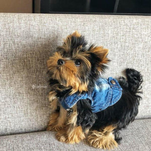 Pups! Embroidered Denim Jacket - 4 styles available - Pups Closet