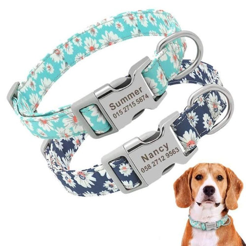 personalized dog collar with name