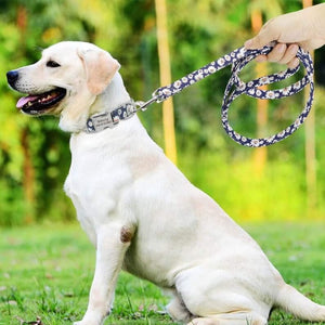 personalized dog collar with name