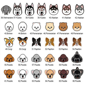 personalized dog collar with name