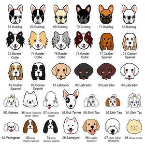 personalized dog collar with name
