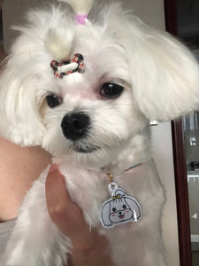 personalized dog collar with name