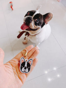 personalized dog collar with name