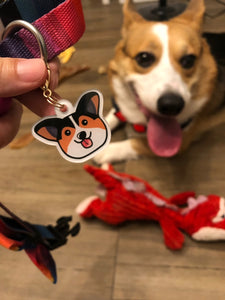 personalized dog collar with name