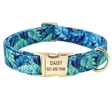Load image into Gallery viewer, personalized dog collar with name