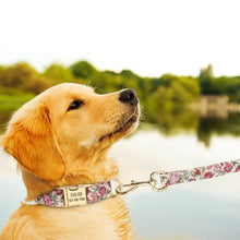 Load image into Gallery viewer, personalized dog collar with name