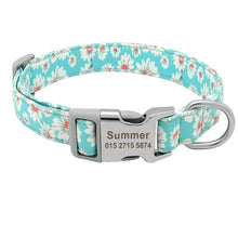 Load image into Gallery viewer, personalized dog collar with name