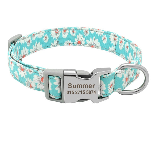 personalized dog collar with name
