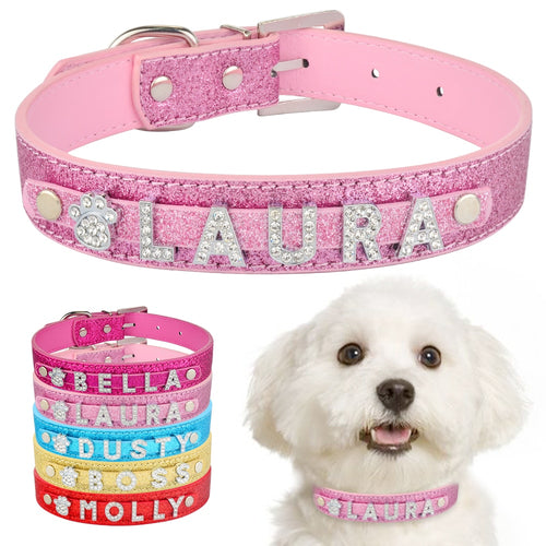personalized dog collar with name