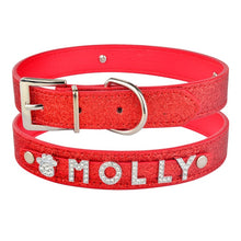 Load image into Gallery viewer, personalized dog collar with name