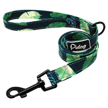 Load image into Gallery viewer, Pups! Nylon Leash - 13 styles available