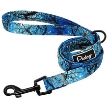 Load image into Gallery viewer, Pups! Nylon Leash - 13 styles available