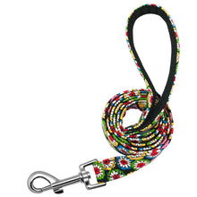 Load image into Gallery viewer, Pups! Nylon Leash - 13 styles available