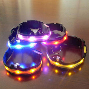 Pups! LED Safety Collar - 7 colours available-Pups Closet