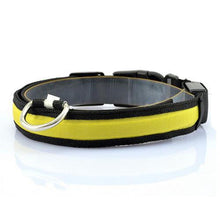 Load image into Gallery viewer, Pups! LED Safety Collar - 7 colours available-Pups Closet