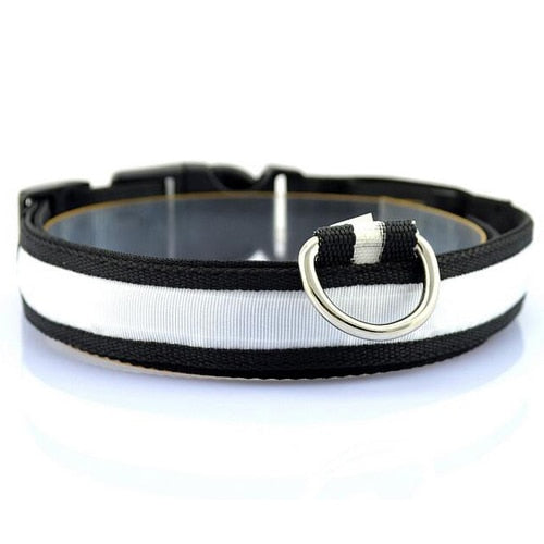 Pups! LED Safety Collar - 7 colours available-Pups Closet