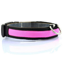 Load image into Gallery viewer, Pups! LED Safety Collar - 7 colours available-Pups Closet