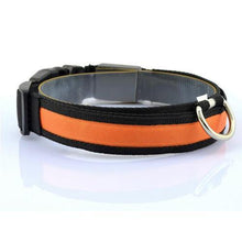 Load image into Gallery viewer, Pups! LED Safety Collar - 7 colours available-Pups Closet