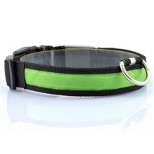 Load image into Gallery viewer, Pups! LED Safety Collar - 7 colours available-Pups Closet