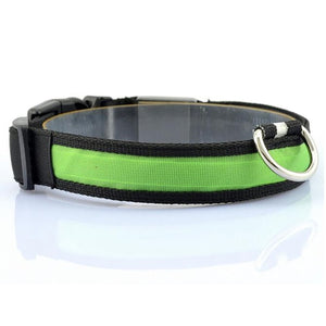 Pups! LED Safety Collar - 7 colours available-Pups Closet