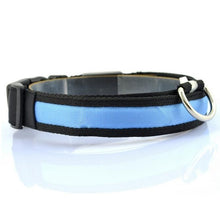 Load image into Gallery viewer, Pups! LED Safety Collar - 7 colours available-Pups Closet