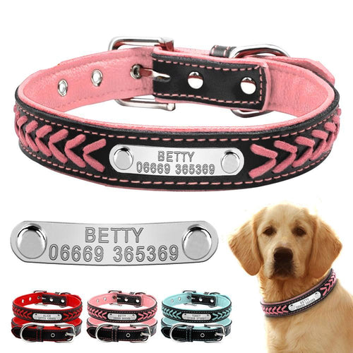 personalized dog collar with name