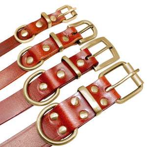 personalized dog collar with name