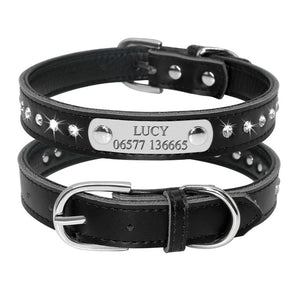 personalized dog collar with name