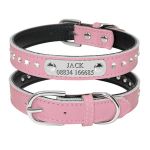 personalized dog collar with name