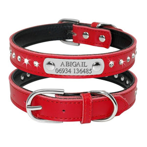 personalized dog collar with name