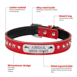 personalized dog collar with name