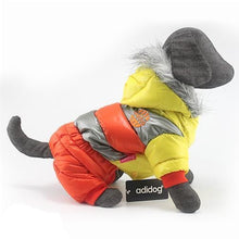 Load image into Gallery viewer, Pups! Winter Jacket - 8 colours available - Pups Closet