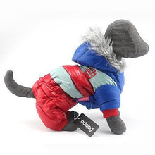 Load image into Gallery viewer, Pups! Winter Jacket - 8 colours available - Pups Closet
