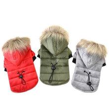 Load image into Gallery viewer, Pups! Winter Jacket With Soft Fur Hood - 3 colours available - Pups Closet