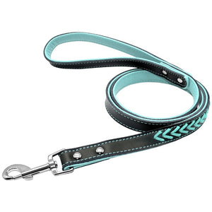 Pups! Arrow Leather Leash - 3 colours available