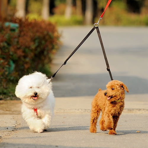 Pups! Twin Lead - 4 colours available - Pups Closet